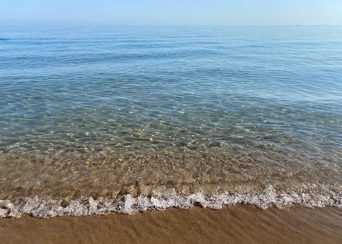 Primera Linea De Playa Julio Y Agosto Min 7 Dias De Lunes A Lunes